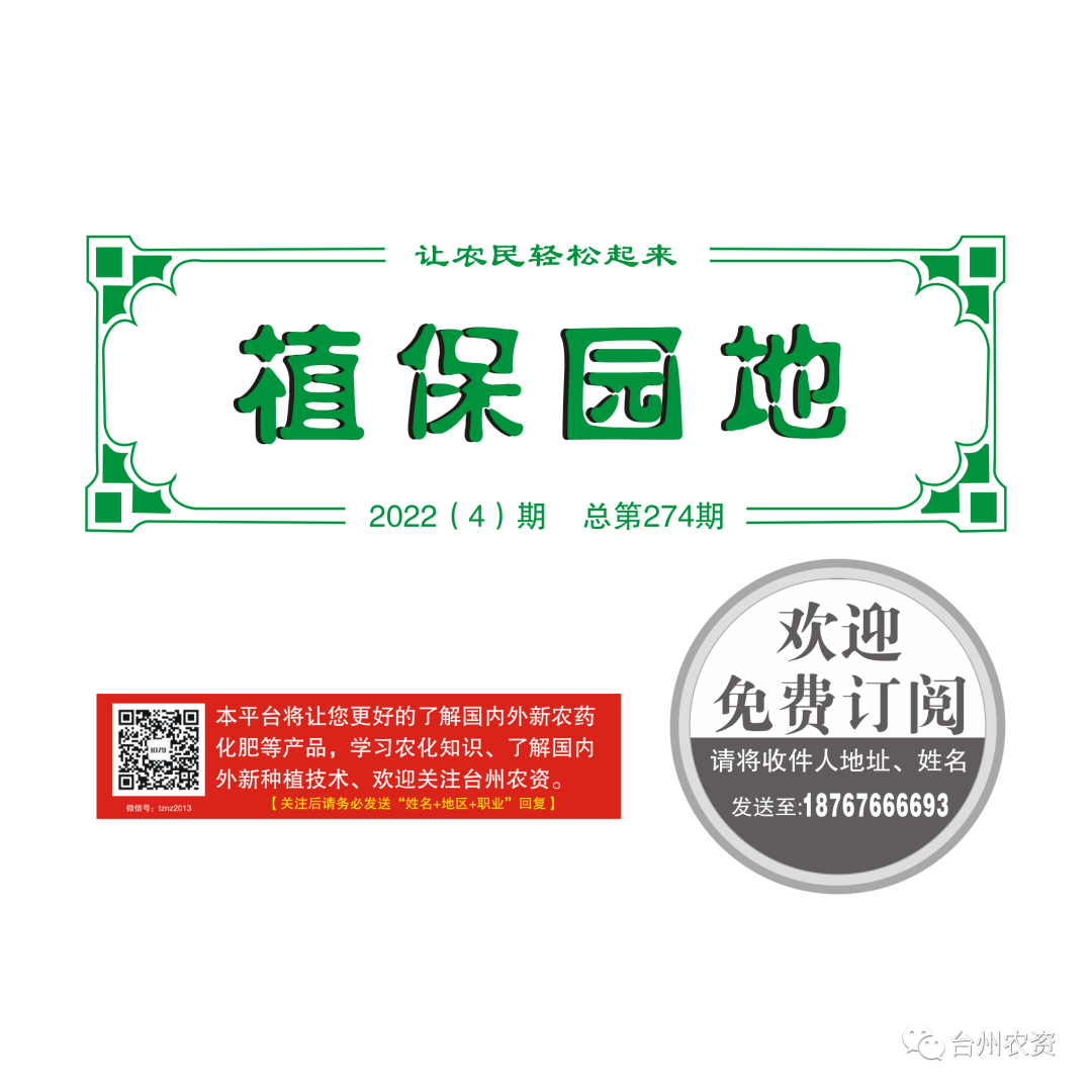 氣溫驟降，大棚西瓜做好以下幾點(diǎn)工作