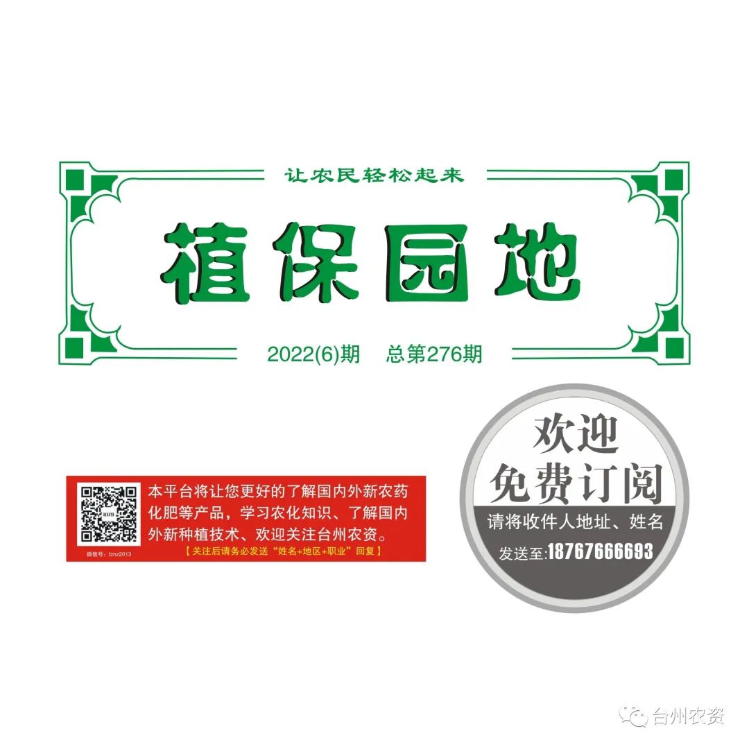 梅雨季節(jié)來臨，柑橘即將穩(wěn)果，注意管理好夏梢，合理施肥打藥